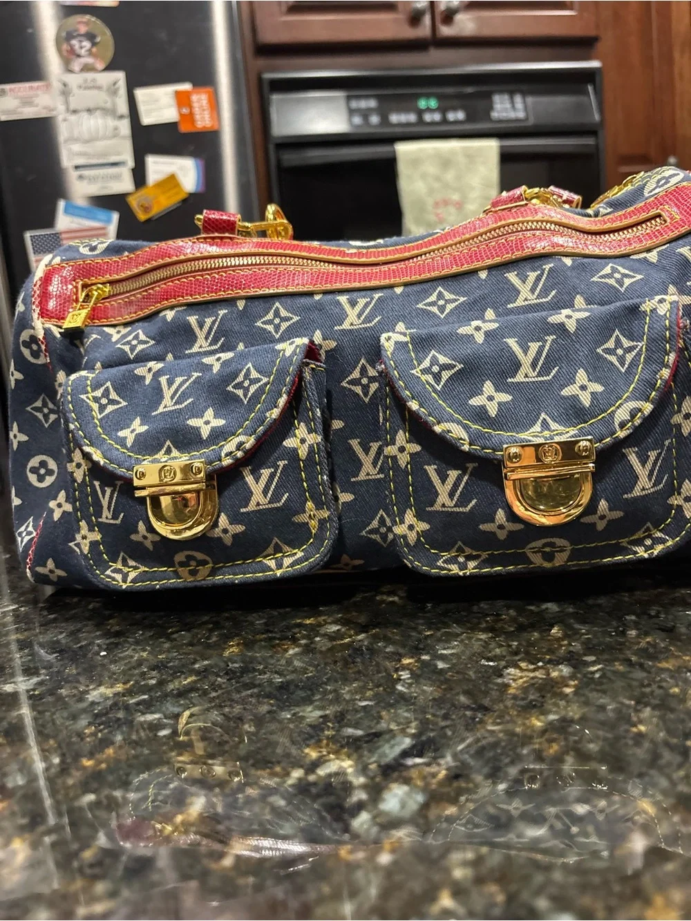 Louis Vuitton authentic louis